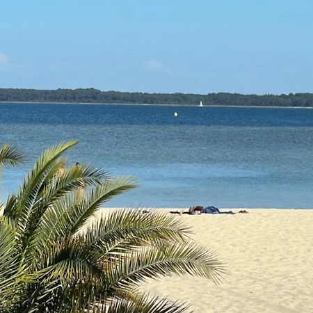 Chalet Et Jaccuzy Sur La Plage Biscarrosse Exterior foto